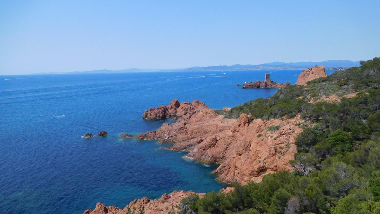 Grand Appartement Dans Maison Avec Piscine Privee Frejus Bagian luar foto